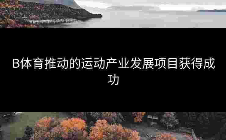 B体育推动的运动产业发展项目获得成功