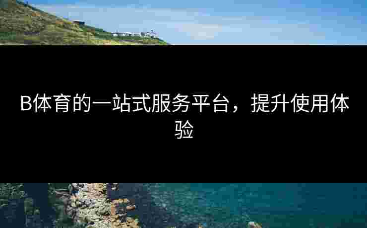 B体育的一站式服务平台，提升使用体验