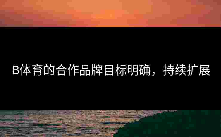 B体育的合作品牌目标明确，持续扩展